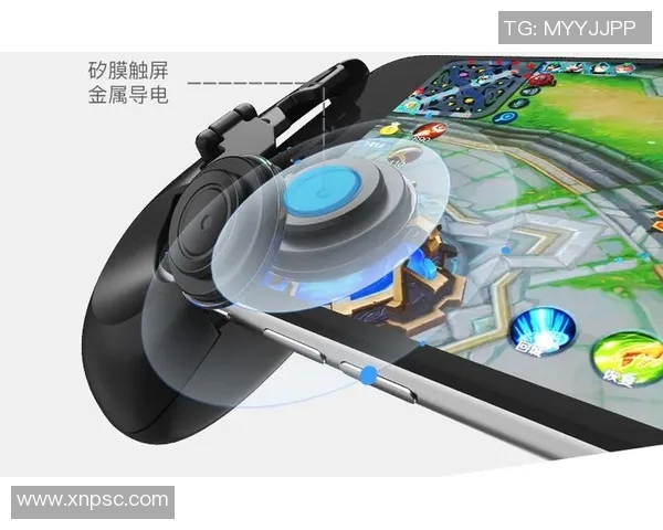 深入探讨王者荣耀BLG战队的战术布局与团队协作策略