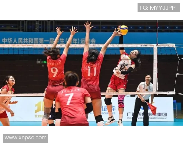 深度对话:探索陈娜在排球赛场上的奋斗与成长之路